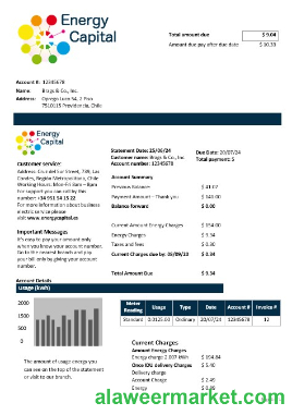 Chile Energy Capital business utility bill template in Word and pdf formats